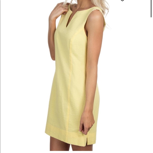 Lauren James Dresses & Skirts - NWOT Avery shift dress by Lauren James